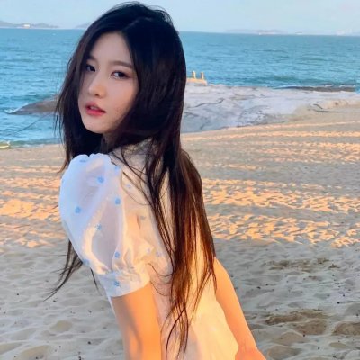 美国鸟类